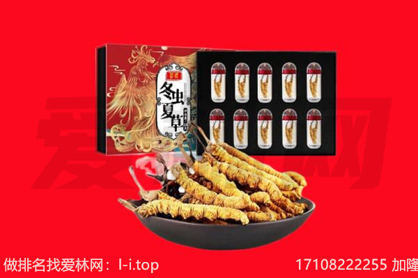 小店区回收虫草.jpg